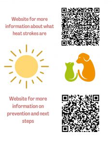 This image portrays Pet Heat Stroke Information by Central Veterinary Hospital.